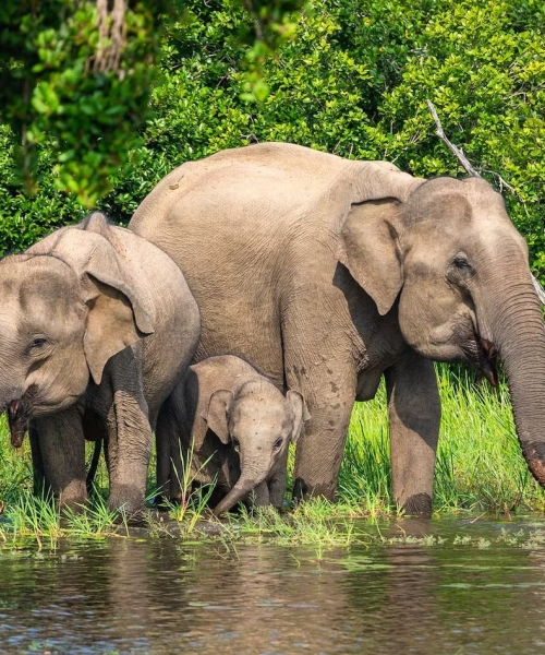 Ceylon Explore Journey Sri Lanka Destinations