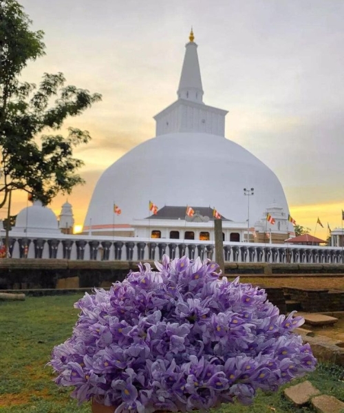 Ceylon Explore Journey Sri Lanka Destinations