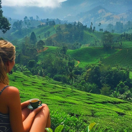 Ceylon Explore Journey Sri Lanka Packages