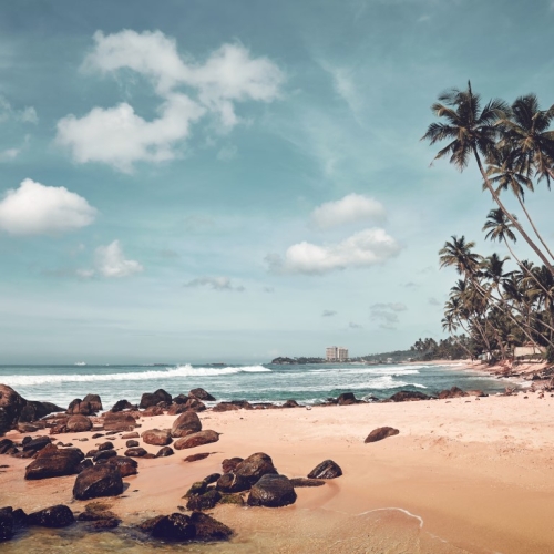 Ceylon Explore Journey Sri Lanka Packages