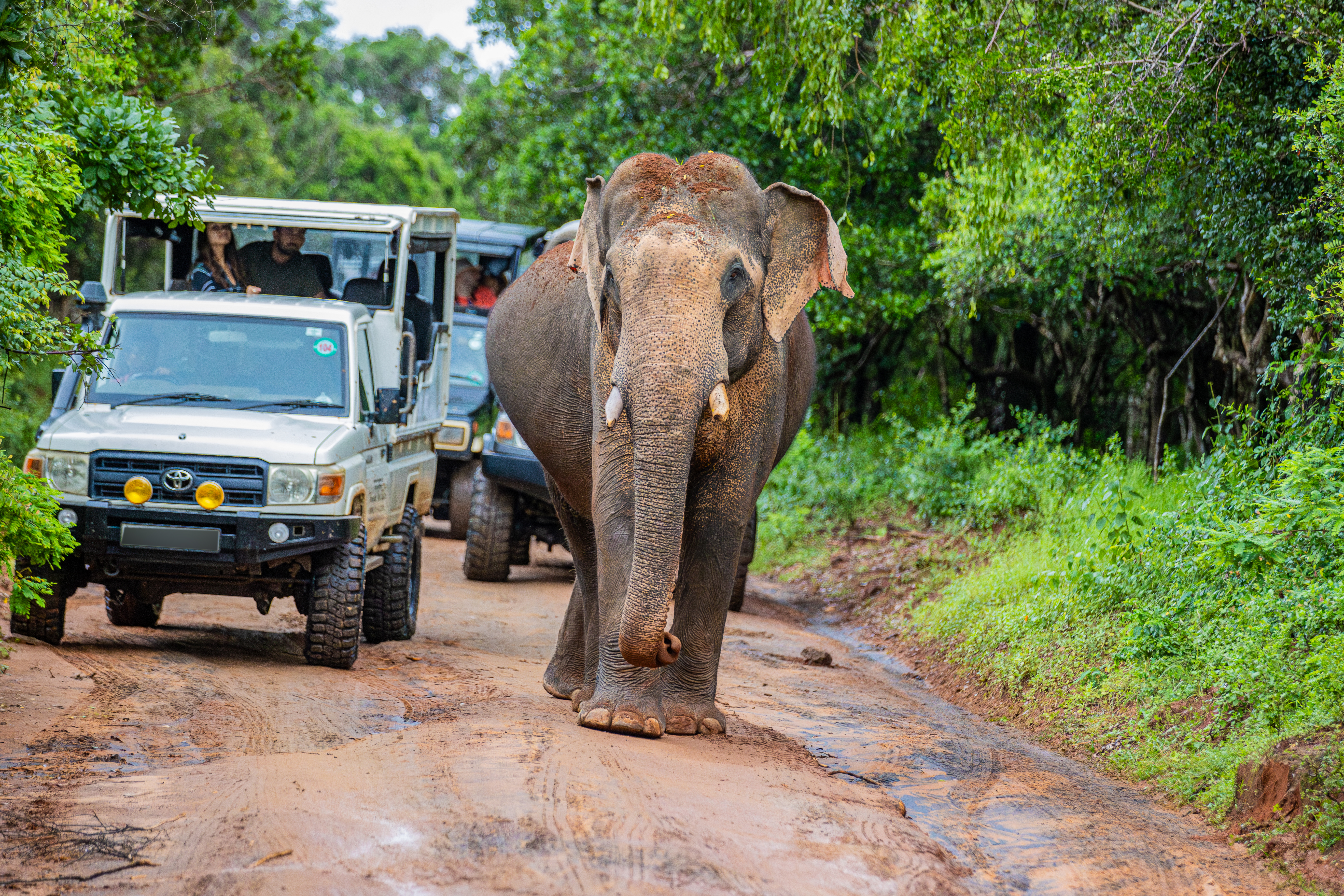 Ceylon Explore Journey Sri Lanka